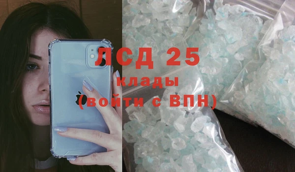 ПСИЛОЦИБИНОВЫЕ ГРИБЫ Аркадак