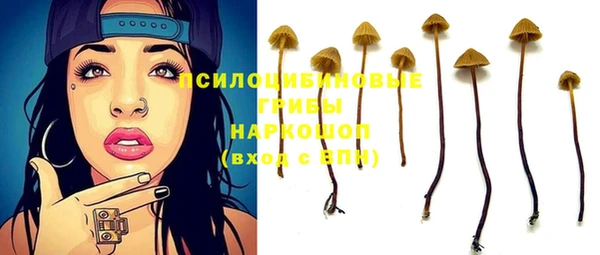 mix Арсеньев