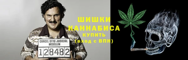 ПСИЛОЦИБИНОВЫЕ ГРИБЫ Аркадак