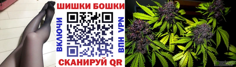 Шишки марихуана Amnesia Бологое